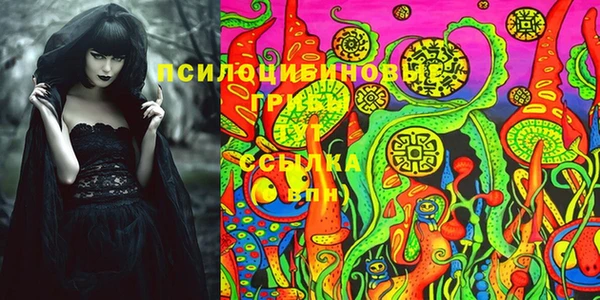 гашик Балахна